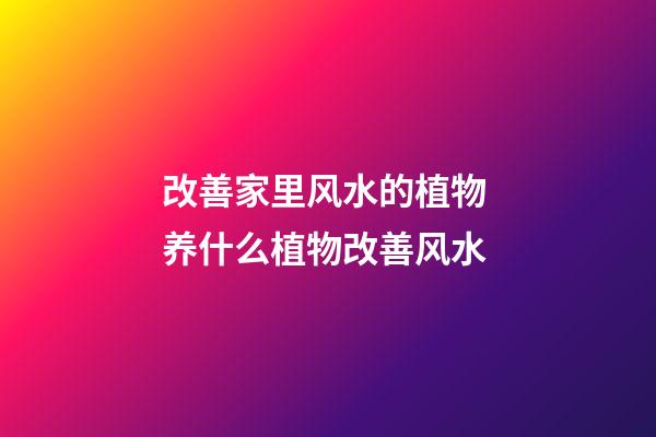 改善家里风水的植物 养什么植物改善风水